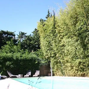 Des Dames Avignon